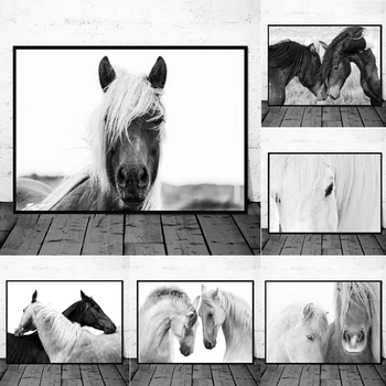 Черно-белый плакат с головой лошади, художественная живопись, фотографии животных, лошади, принты на холсте, Настенная картина в домашней комнате, Современный декор